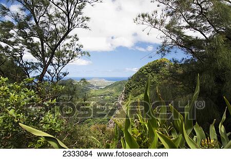 Picture - Viewpoint near nuuanu pali lookout windward coast in distance; Oahu hawaii united states of america. Fotosearch
