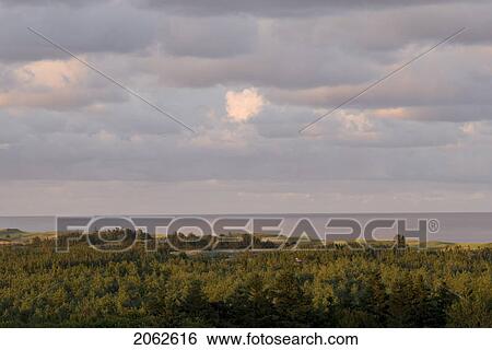 Vista Near Basin Head, Prince Edward Island View Large Photo Image Stock Photograph - Vista Near Basin Head, Prince Edward Island. Fotosearch