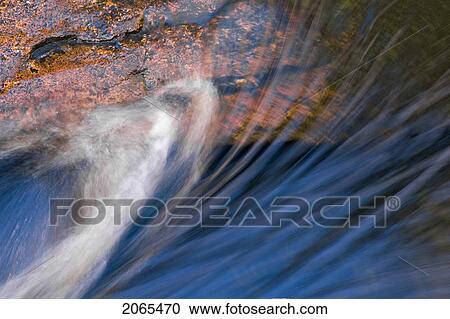 Water. Algonquin Provincial Park, Ontario. Canada. View Large Photo Image Stock Image - Water. Algonquin Provincial Park, Ontario. Canada.. Fotosearch