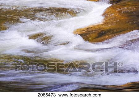 Water. Algonquin Provincial Park, Ontario. Canada. View Large Photo Image Stock Image - Water. Algonquin Provincial Park, Ontario. Canada.. Fotosearch