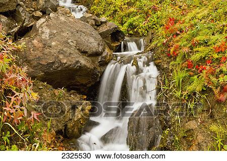 Water cascading over boulders in a creek in autumn denali national park; Alaska united states of america View Large Photo Image Stock Image - Water cascading over boulders in a creek in autumn denali national park; Alaska united states of america. Fotosearch