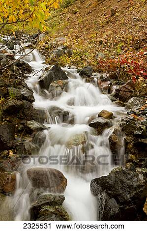 Stock Image - Water cascading over boulders in a creek in autumn denali national park; Alaska united states of america. Fotosearch