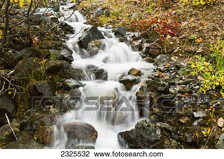 Water cascading over boulders in a creek in autumn denali national park; Alaska united states of america View Large Photo Image Stock Image - Water cascading over boulders in a creek in autumn denali national park; Alaska united states of america. Fotosearch