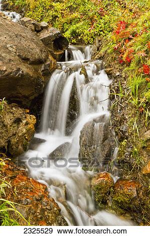 Stock Photo - Water cascading over boulders in a creek in autumn denali national park; Alaska united states of america. Fotosearch