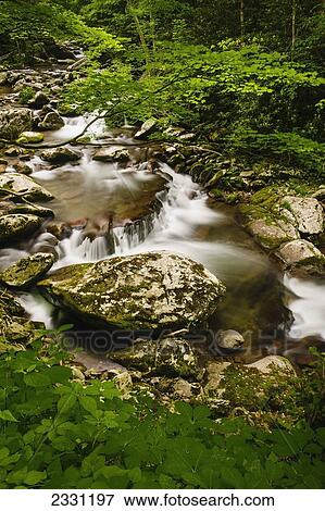 Water cascading over rocks with lush foliage in great smoky mountains national park; Tennessee united states of america View Large Photo Image Stock Photo - Water cascading over rocks with lush foliage in great smoky mountains national park; Tennessee united states of america. Fotosearch