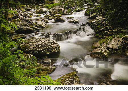 Water cascading over rocks with lush foliage in great smoky mountains national park; Tennessee united states of america View Large Photo Image Stock Photo - Water cascading over rocks with lush foliage in great smoky mountains national park; Tennessee united states of america. Fotosearch