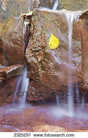 Stock Image - Water flowing over rocks in a creek with a yellow leaf stuck to the rock; Thunder bay ontario canada. Fotosearch
