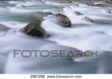 Water Flowing Over Rocks On A Creek, Motion Blur, Earl Grey Creek, East Kootenays, B. C. View Large Photo Image Stock Photograph - Water Flowing Over Rocks On A Creek, Motion Blur, Earl Grey Creek, East Kootenays, B. C.. Fotosearch