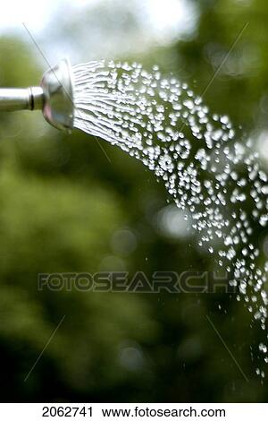 Stock Image - Water Sprinkling From Watering Can, Munson Park, Winnipeg, Canada. Fotosearch