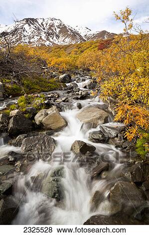 Waterfall in a small stream in autumn and new snow on mountains in background denali national park; Alaska united states of america View Large Photo Image Stock Photo - Waterfall in a small stream in autumn and new snow on mountains in background denali national park; Alaska united states of america. Fotosearch