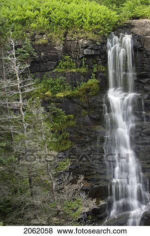 Waterfall On Sloan's Brook, Delap's Cove Wilderness Trail, Nova Scotia, Canada View Large Photo Image Stock Photo - Waterfall On Sloan's Brook, Delap's Cove Wilderness Trail, Nova Scotia, Canada. Fotosearch
