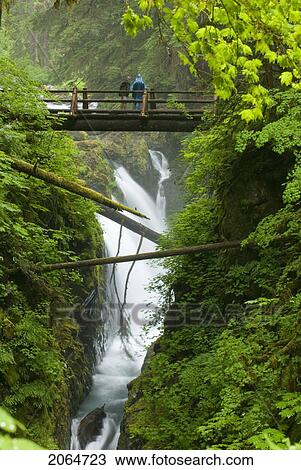 Stock Image - Waterfall Plunges Into A Canyon Below A Foot Bridge In An Old-Growth Rainforest, Sol Duc River, Olympic National Park, Washington, Usa. Fotosearch