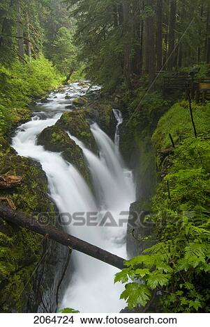 Waterfall Plunges Into A Canyon In An Old-Growth Rainforest, Sol Duc River, Olympic National Park, Washington, Usa View Large Photo Image Picture - Waterfall Plunges Into A Canyon In An Old-Growth Rainforest, Sol Duc River, Olympic National Park, Washington, Usa. Fotosearch