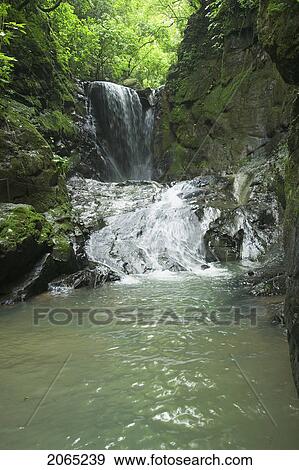Waterfall, Puntarenas, Costa Rica View Large Photo Image Stock Photo - Waterfall, Puntarenas, Costa Rica. Fotosearch