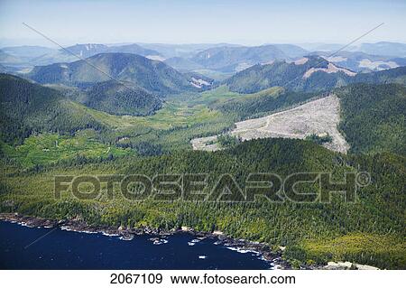 Stock Photo - West Coast, Vancouver Island, British Columbia, Canada. Fotosearch