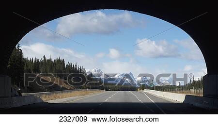 Wildlife tunnel over a highway in banff national park; Banff alberta canada View Large Photo Image Stock Photo - Wildlife tunnel over a highway in banff national park; Banff alberta canada. Fotosearch