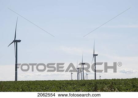 Picture - Wind Turbines, Near East Point, Prince Edward Island. Fotosearch