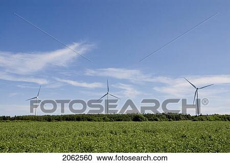 Stock Image - Wind Turbines, Near East Point, Prince Edward Island. Fotosearch
