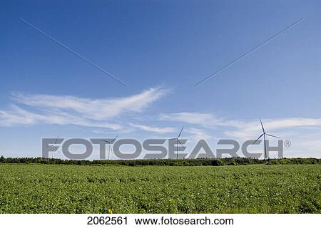 Stock Image - Wind Turbines, Near East Point, Prince Edward Island. Fotosearch