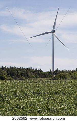 Wind Turbines, Near East Point, Prince Edward Island View Large Photo Image Stock Image - Wind Turbines, Near East Point, Prince Edward Island. Fotosearch