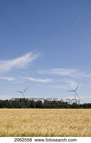 Stock Photo - Wind Turbines, Near East Point, Prince Edward Island. Fotosearch