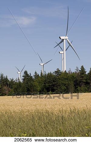 Wind Turbines, Near East Point, Prince Edward Island View Large Photo Image Stock Photography - Wind Turbines, Near East Point, Prince Edward Island. Fotosearch