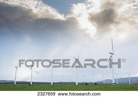 Wind turbines; Tarifa cadiz andalusia spain View Large Photo Image Stock Photo - Wind turbines; Tarifa cadiz andalusia spain. Fotosearch