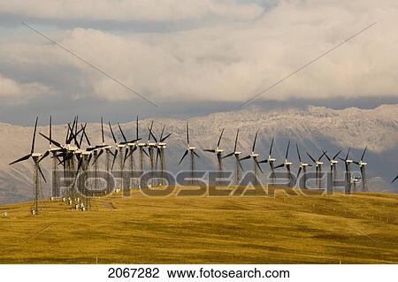 Windmills Used To Generate Electrical Power Near Pincher Creek In Southern Alberta, Canada View Large Photo Image Stock Image - Windmills Used To Generate Electrical Power Near Pincher Creek In Southern Alberta, Canada. Fotosearch