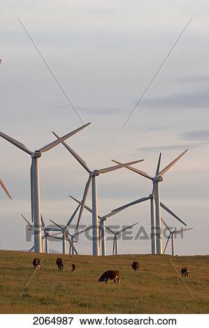 Stock Photo - Windmills Used To Generate Electrical Power At Cowley Ridge In Southern Alberta, Canada. Fotosearch