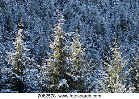 Stock Photo - Winter Vista, Whistler, Bc Canada. Fotosearch