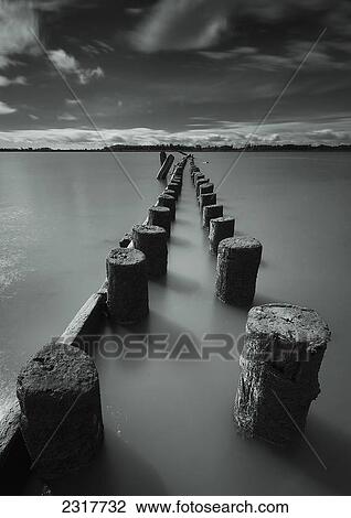 Wooden Posts Leading Out Into The River; Vancouver British Columbia Canada View Large Photo Image Stock Image - Wooden Posts Leading Out Into The River; Vancouver British Columbia Canada. Fotosearch