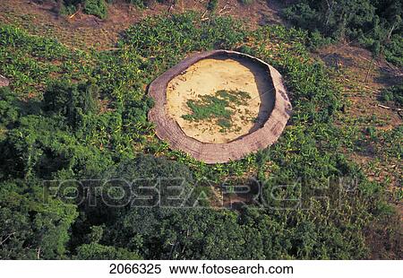 Yanomami Village Seen From The Helicopter, South Of Venezuela View Large Photo Image Stock Photography - Yanomami Village Seen From The Helicopter, South Of Venezuela. Fotosearch