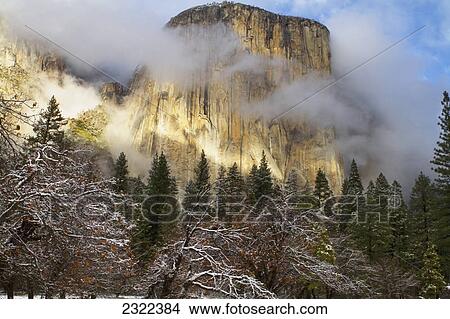Yosemite national park's el capitan (el cap) peaks through winter storm clouds during a december storm; California united states of america View Large Photo Image Picture - Yosemite national park's el capitan (el cap) peaks through winter storm clouds during a december storm; California united states of america. Fotosearch