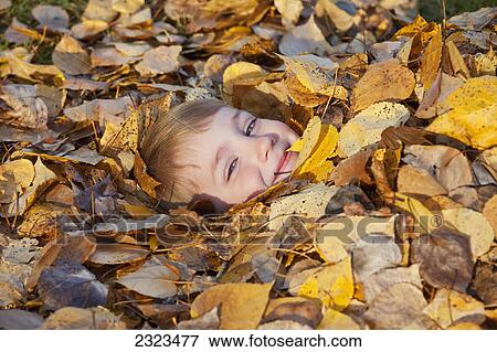 Young boy buried in fallen autumn leaves; Edmonton alberta canada View Large Photo Image Stock Photo - Young boy buried in fallen autumn leaves; Edmonton alberta canada. Fotosearch