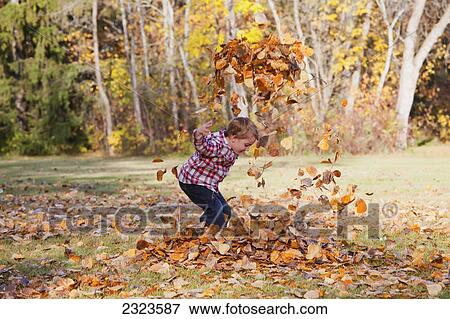 Young boy playing in a pile of fallen leaves in a park in autumn; Edmonton alberta canada View Large Photo Image Stock Photo - Young boy playing in a pile of fallen leaves in a park in autumn; Edmonton alberta canada. Fotosearch
