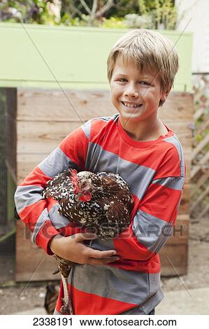 A boy holds a chicken; San Francisco, California, United States of America View Large Photo Image Stock Image - A boy holds a chicken; San Francisco, California, United States of America. Fotosearch