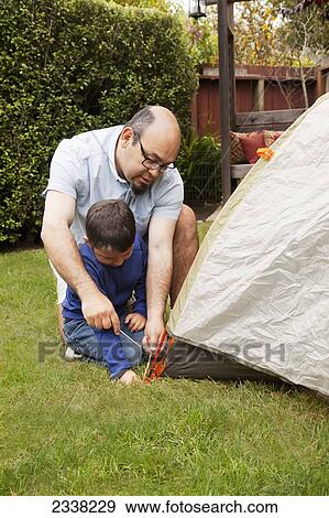 A father and son pitch a tent in the backyard; Pacifica, California, United States of America View Large Photo Image Stock Photo - A father and son pitch a tent in the backyard; Pacifica, California, United States of America. Fotosearch
