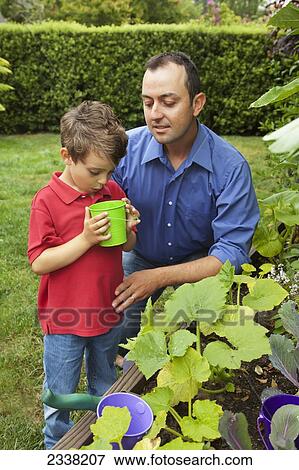 A father with his young son working in their garden; Pacifica, California, United States of America View Large Photo Image Stock Photo - A father with his young son working in their garden; Pacifica, California, United States of America. Fotosearch