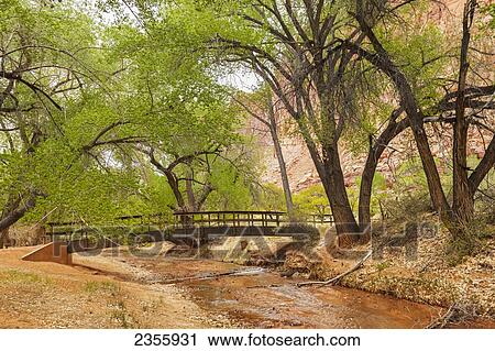 Stock Image - A foot bridge spans Sulphur Creek in a picnic area near the Visitor's Center in Capital Reef National Park; Utah, United States of America. Fotosearch