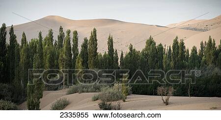 Stock Photography - A landscape of sand slopes with trees in the foreground. Fotosearch