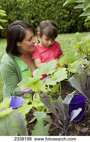 A mother with her young daughter looking at plants in the garden; Pacifica, California, United States of America View Large Photo Image Stock Photo - A mother with her young daughter looking at plants in the garden; Pacifica, California, United States of America. Fotosearch