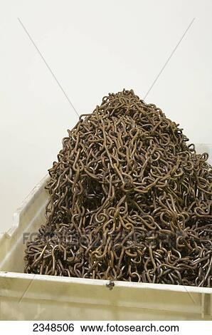 A pile of rusted chain in a box; Canada View Large Photo Image Stock Photograph - A pile of rusted chain in a box; Canada. Fotosearch