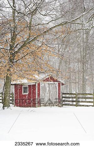 Stock Photo - A red shed and wooden fence surrounded by trees in a snowfall; Ohio, United States of America. Fotosearch