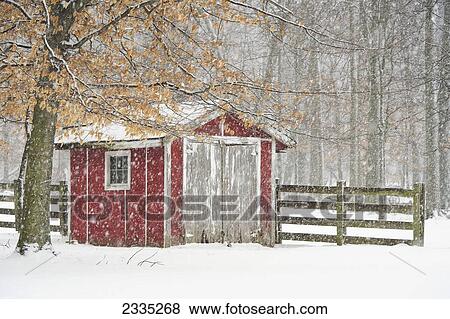A red shed and wooden fence surrounded by trees in a snowfall; Ohio, United States of America View Large Photo Image Stock Photo - A red shed and wooden fence surrounded by trees in a snowfall; Ohio, United States of America. Fotosearch