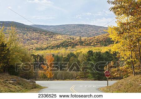 Stock Photography - A road and stop sign with trees in autumn colours; Maine, United States of America. Fotosearch