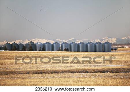 A row of grain bins in a cut grain field with snow covered mountains and blue sky at sunrise; Alberta, Canada View Large Photo Image Stock Image - A row of grain bins in a cut grain field with snow covered mountains and blue sky at sunrise; Alberta, Canada. Fotosearch