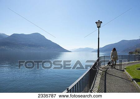 A woman and her dog walking on a promenade along the water's edge View Large Photo Image Stock Photo - A woman and her dog walking on a promenade along the water's edge. Fotosearch