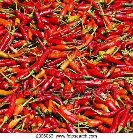 Abundance of red chili peppers View Large Photo Image Stock Image - Abundance of red chili peppers. Fotosearch