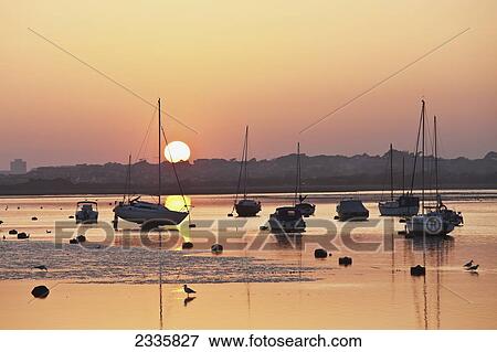Boats mooring in a harbour at sunset with the sunlight glowing and reflecting on the tranquil water View Large Photo Image Stock Photo - Boats mooring in a harbour at sunset with the sunlight glowing and reflecting on the tranquil water. Fotosearch