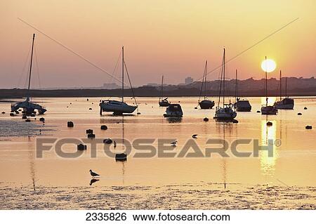 Stock Photograph - Boats mooring in a harbour at sunset with the sunlight glowing and reflecting on the tranquil water. Fotosearch
